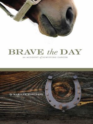 cover image of Brave The Day